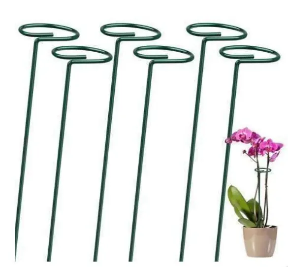 Plant Support Stakes Set of 6