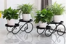 Scroll Stand Set of 2