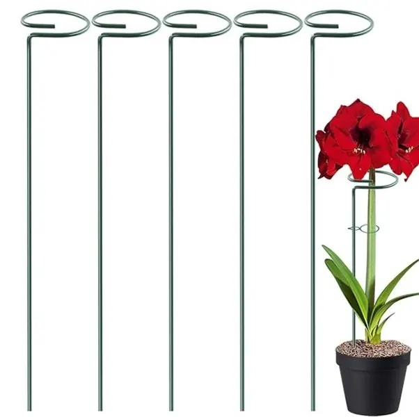 Plant Support Stakes Set of 5