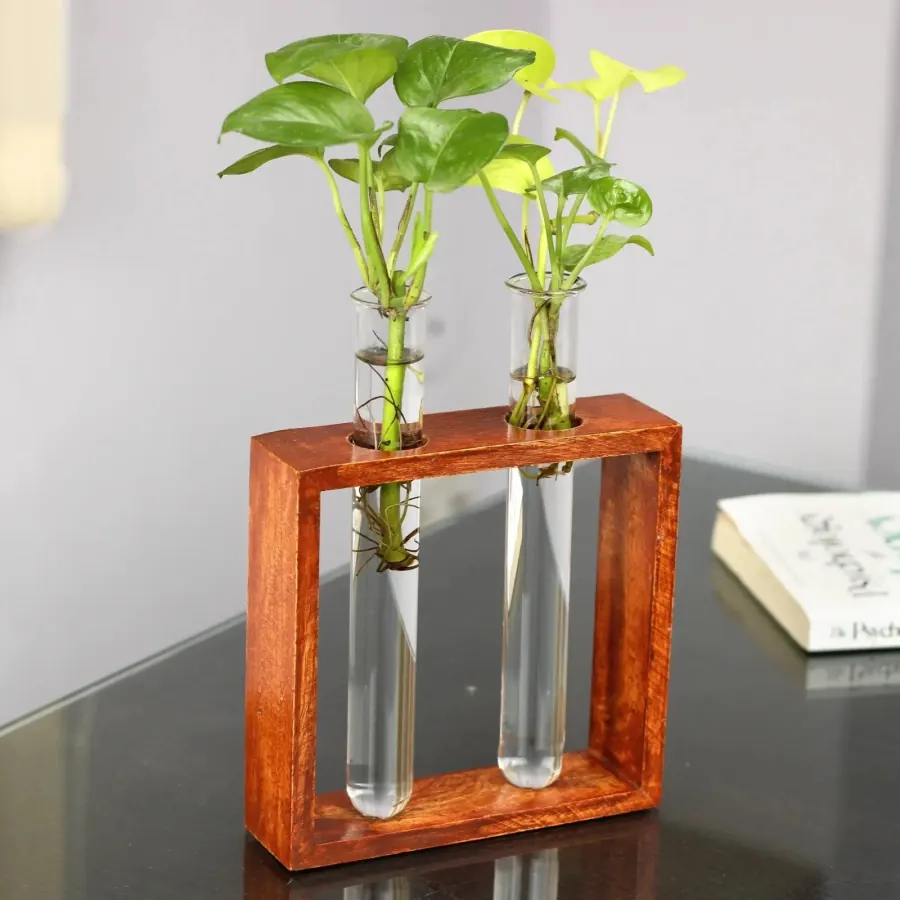 Wood Propagation Stand 2 Tubes
