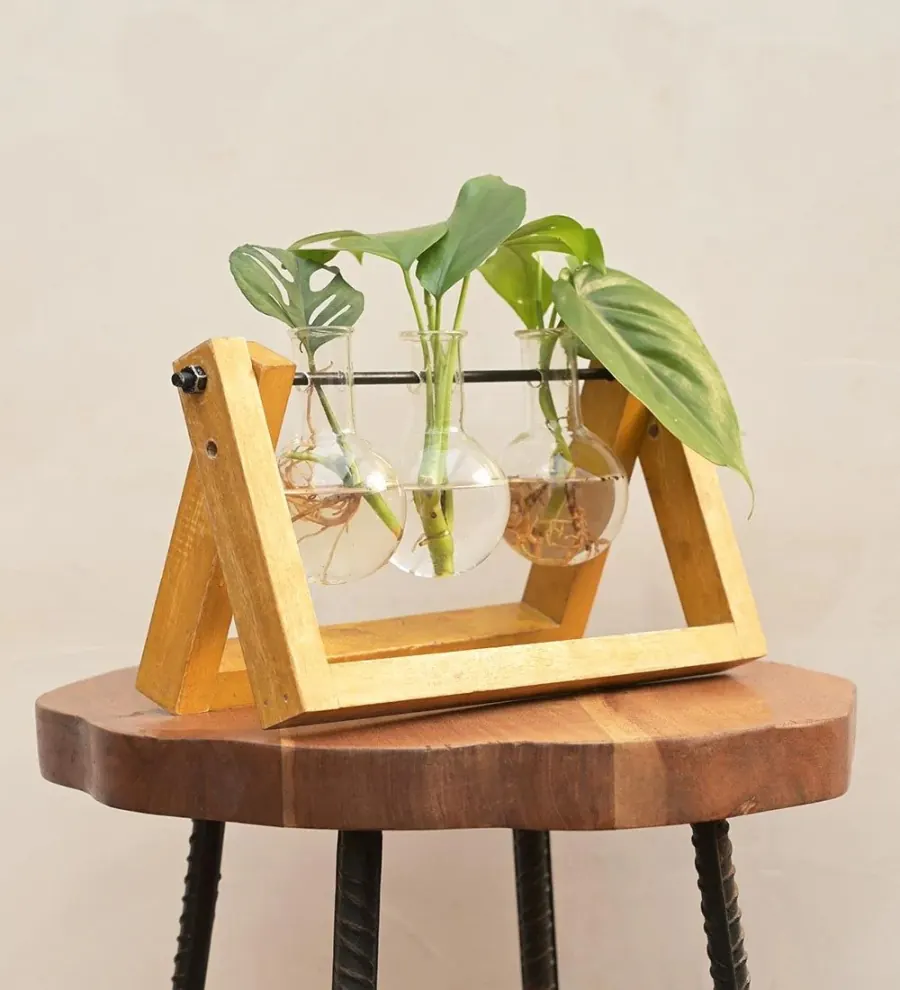 Wood Propagation Stand 3 Bulb Vases