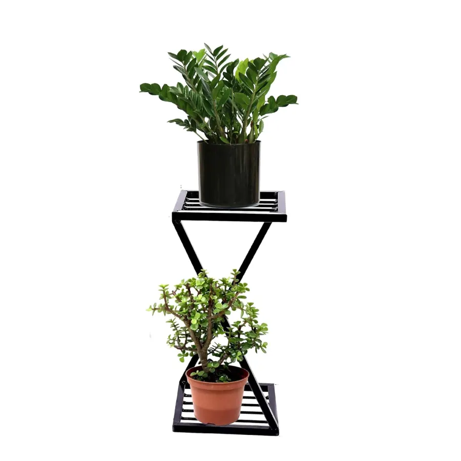 ZED Stand with 2 Pots